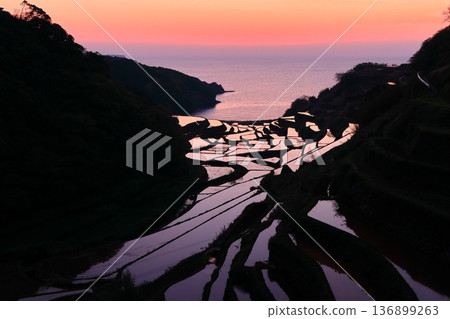 [Saga Prefecture] Evening view of Hamanoura rice terraces 136899263