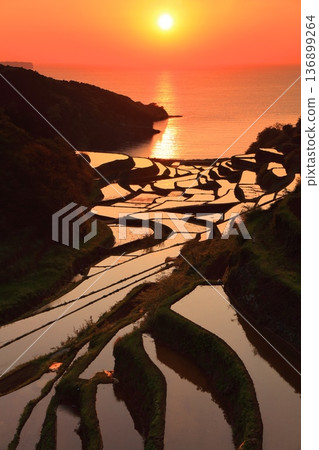 【石川縣】濱之浦梯田的夜景 136899264