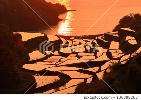 [Ishikawa Prefecture] Evening view of Hamanoura rice terraces 136899268