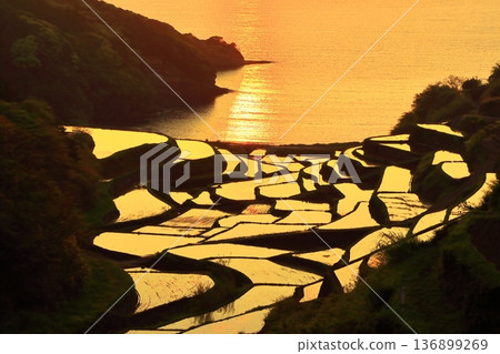 [Ishikawa Prefecture] Evening view of Hamanoura rice terraces 136899269