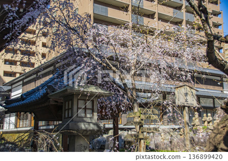 The streets of Kyoto 136899420