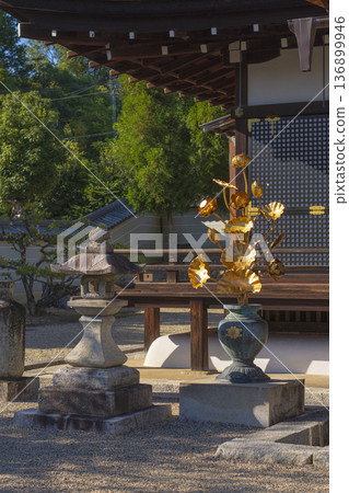 漫步京都 漫步京都 136899946