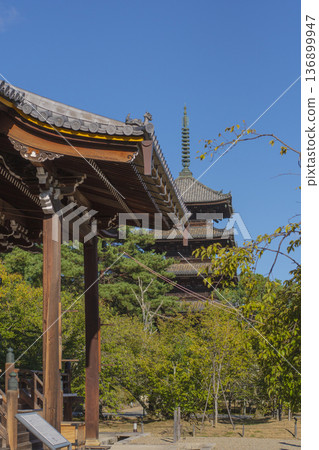 Strolling around Kyoto city Strolling around Kyoto city 136899947