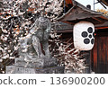 Early spring in Kyoto's Kitano Tenmangu Shrine, plum garden, guardian lions and weeping plum trees 136900200