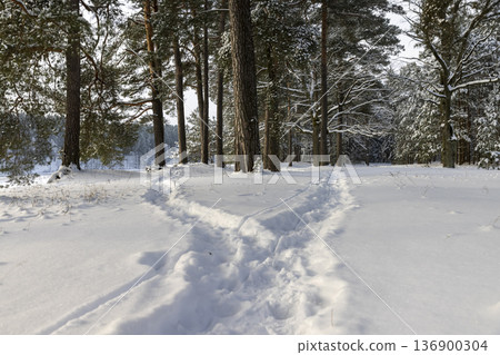 a path trampled in the park while people are walking in a winter park by the river, a path trampled during nature walks near the city a path trampled in the park while people are walking in a winter park by the river, a path trampled during nature walks near the city 136900304