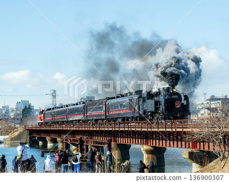 冬季沼澤列車駛過鐵路橋 136900307
