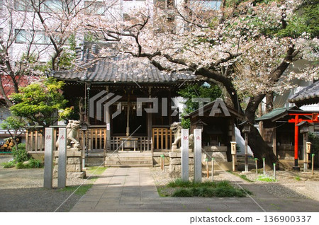 櫻花和神社 136900337