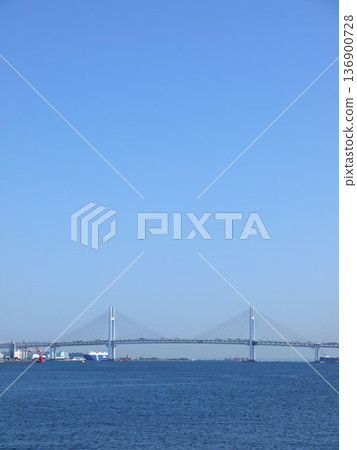 Bay Bridge seen from Lingang Park Bay Bridge seen from Lingang Park 136900728