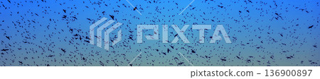 Black silhouettes of flying birds. Crows fly against the blue sky. 136900897