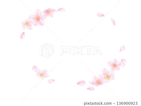 櫻花和花瓣構成的橢圓形框架 櫻花和花瓣構成的橢圓形框架 136900923