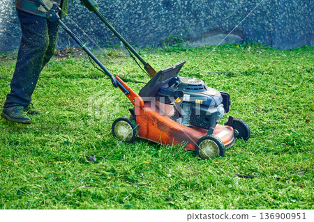 Grass cutting on green lawns with mini handle lawn mower 136900951