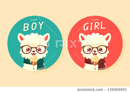 Gender reveal party sticker set with cute alpaca boy and girl vector illustration. Gender reveal party sticker set with cute alpaca boy and girl vector illustration. 136900991