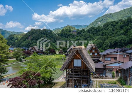 Traditional rice fields and gassho houses in Shirakawa-go village, Japan Traditional rice fields and gassho houses in Shirakawa-go village, Japan 136901574