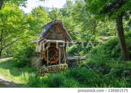Traditional watermill surrounded by nature in Shirakawa-go, Japan Traditional watermill surrounded by nature in Shirakawa-go, Japan 136901575