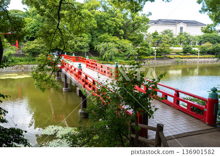 Red bridge over Kawazokoike pond in Tennoji Park, Osaka 136901582