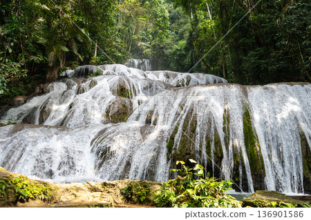 Saluopa waterfall in the tropical forest of Tentena, Sulawesi, Indonesia 136901586