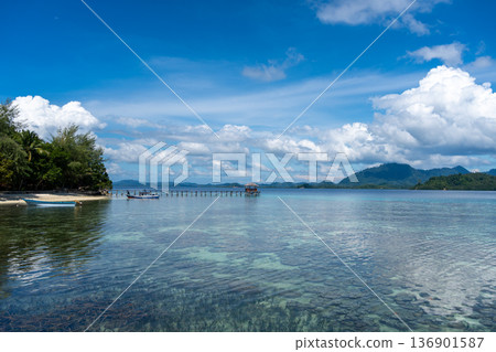 Wooden jetty and boat at Bolilanga Island, Togian archipelago, Sulawesi, Indonesia 136901587