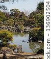 Japanese garden 136902504