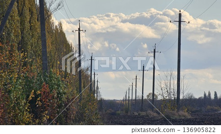 Power lines countryside landscape rural dirt road curves through lush green hills, with telephone poles lining the path under a softly clouded sky. Power lines countryside landscape rural dirt road curves through lush green hills, with telephone poles lining the path under a softly clouded sky. 136905822