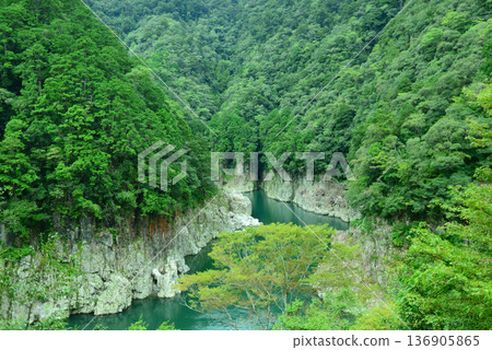 Torokai Torokai 136905865