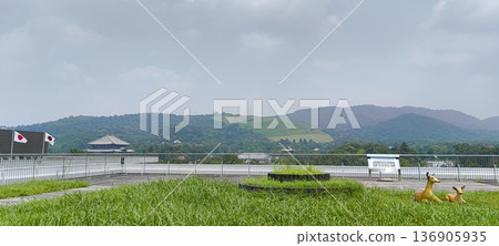 從奈良縣政府辦公大樓屋頂花園眺望若草山。 136905935