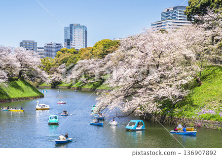 春天的千鳥淵：櫻花盛開的城市景觀 [東京都千代田區] 136907892
