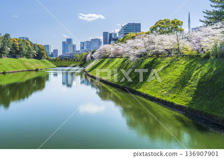 春天，千鳥淵公園倒映著半藏護城河的美麗景象 [東京千代田區] 136907901