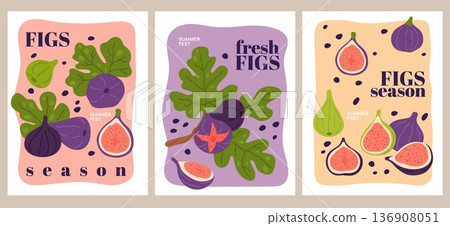 Figs banners. Decorative fruits cards with purple figs silhouettes, branches with leaves, whole and sliced fruits, promotion summer festival, notebook cover, garish vector isolated set 136908051