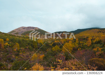 Agatsuma Fuji seen from all over Mt. 136908224