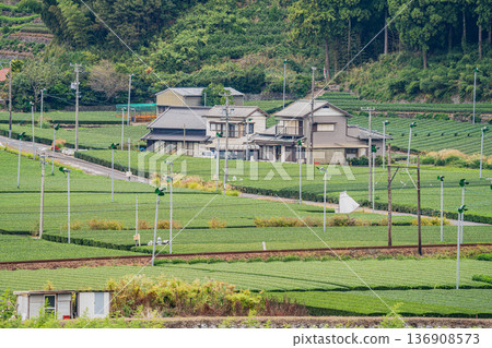 島田市（靜岡縣）大井川鐵道努庫裡車站週邊的街景 136908573