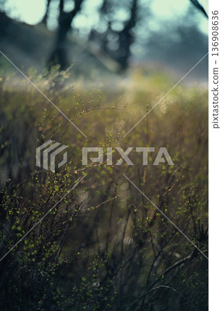 Setting sun Setting sun 136908636