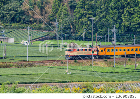靜岡縣島田市大井川鐵道貫里站週邊的風景 136908853
