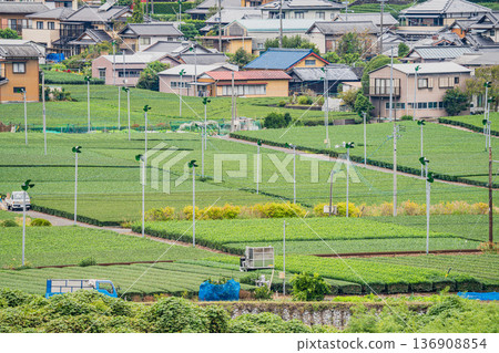 靜岡縣島田市大井川鐵道貫里站週邊的風景 136908854