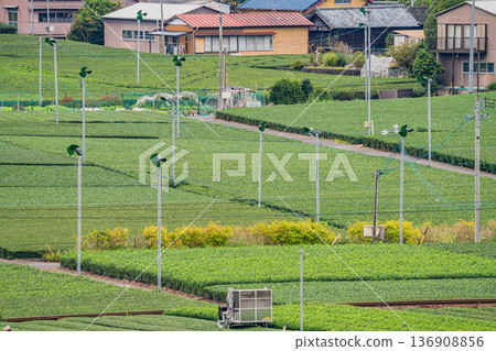 島田市（靜岡縣）大井川鐵道努庫裡車站週邊的街景 136908856