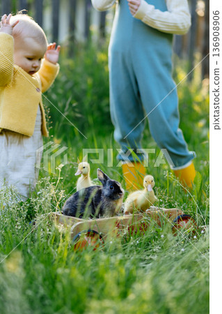 Kids enjoying time with baby animals in the garden. Kids enjoying time with baby animals in the garden. 136908906