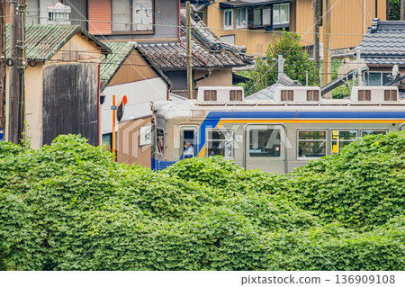 靜岡縣島田市大井川鐵道貫里站週邊的風景 136909108