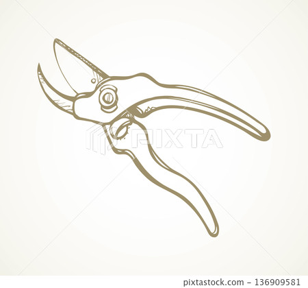 Vector drawing. Pruner 136909581