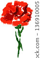 A hand-drawn watercolor illustration of a single red carnation for a Mother's Day gift 136910005