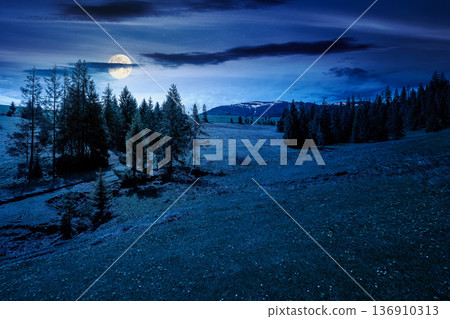 mountain landscape during spring at night. full moon over peaceful countryside scene with coniferous forest near grassy field. mysterious ridge with snow capped top in the distance mountain landscape during spring at night. full moon over peaceful countryside scene with coniferous forest near grassy field. mysterious ridge with snow capped top in the distance 136910313
