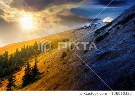 virgin coniferous forest in mountains. day and night time change concept. beautiful spruce trees on a steep slopes on autumn equinox with sun and moon. alpine scenery. equality and shift template virgin coniferous forest in mountains. day and night time change concept. beautiful spruce trees on a steep slopes on autumn equinox with sun and moon. alpine scenery. equality and shift template 136910323