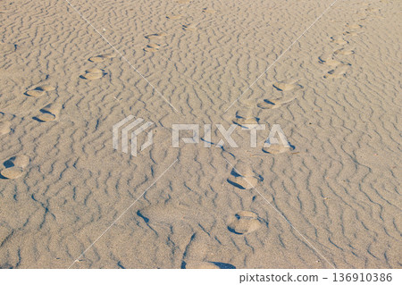 Footprints on Nakatajima Sand Dunes in Hamamatsu City (Shizuoka Prefecture) Footprints on Nakatajima Sand Dunes in Hamamatsu City (Shizuoka Prefecture) 136910386