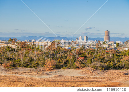 Hamamatsu Cityscape (Shizuoka Prefecture) Hamamatsu Cityscape (Shizuoka Prefecture) 136910428
