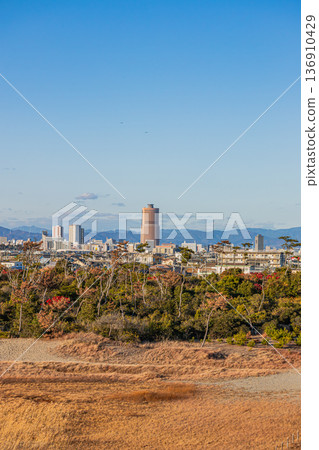 濱松市容（靜岡縣） 136910429