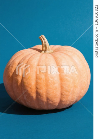 Orange pumpkins on a blue background Orange pumpkins on a blue background 136910822