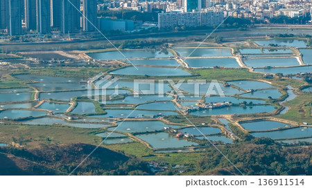 view of Ma Tso Lung wetlands near cityscape Feb 18 2026 view of Ma Tso Lung wetlands near cityscape Feb 18 2026 136911514