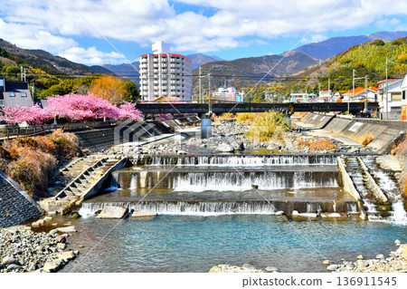 Shiranami Bridge / View upstream from the Shirata River (Higashiizu Town, Shizuoka Prefecture) [February 2026] 136911545
