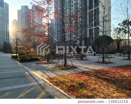 Red Autumn Leaves and Fallen Foliage in a Modern Apartment Garden Red Autumn Leaves and Fallen Foliage in a Modern Apartment Garden 136912258