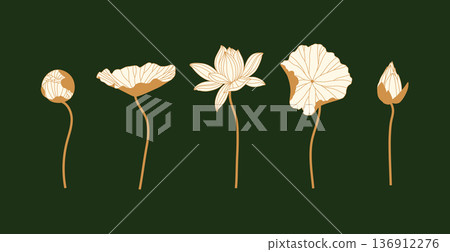 Lily silhouettes different forms set green 136912276