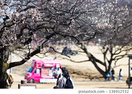 埼玉縣所澤航空紀念公園梅園 136912552
