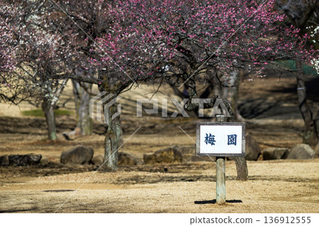 Plum Garden, Tokorozawa Aviation Memorial Park, Saitama Prefecture Plum Garden, Tokorozawa Aviation Memorial Park, Saitama Prefecture 136912555